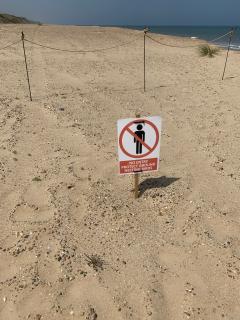We couldn't walk up the top of the beach here, but neither could we leave the beach because of the gas distribution plant at Paston. We had to walk close to the water...